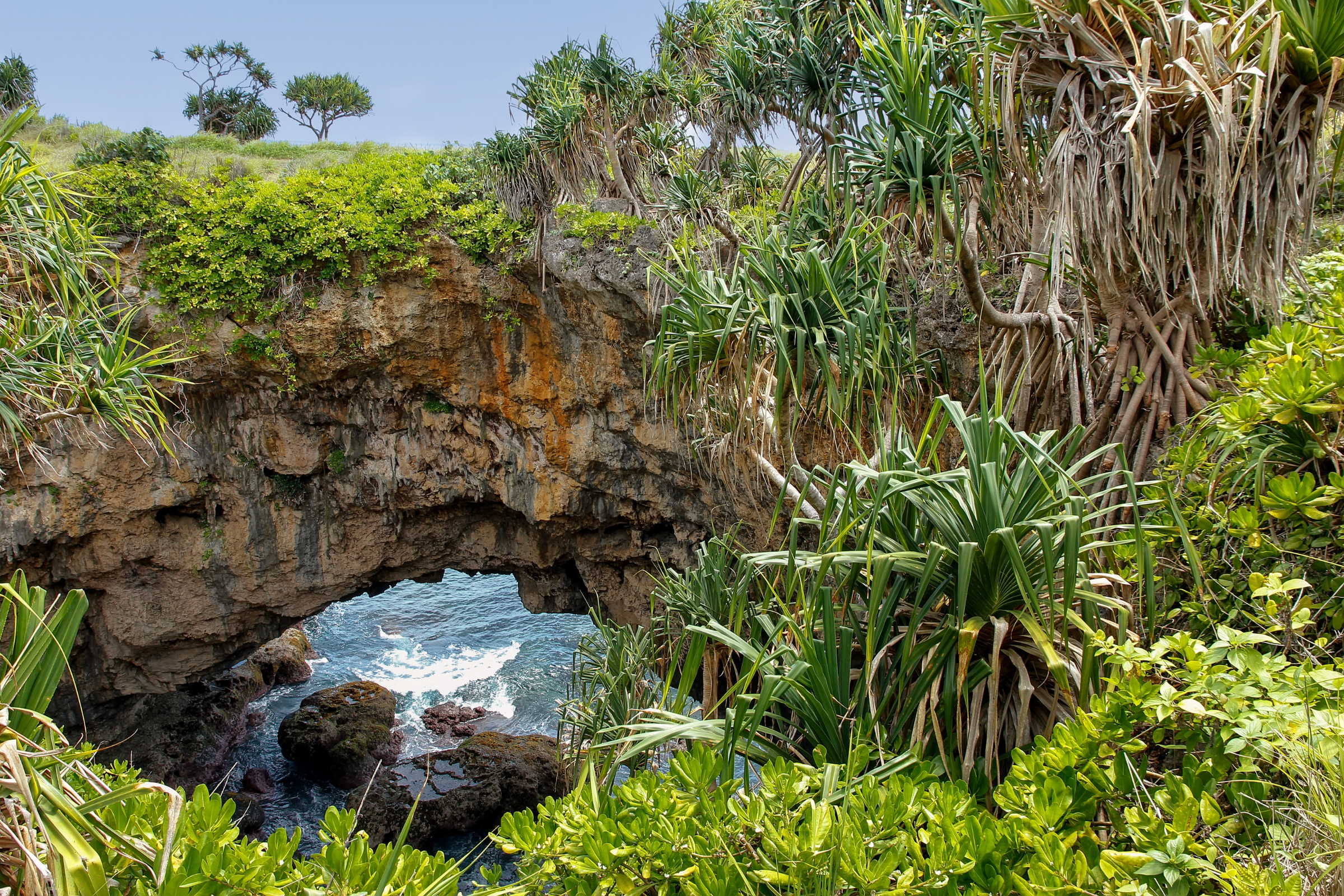 niuatoputapu (3).webp